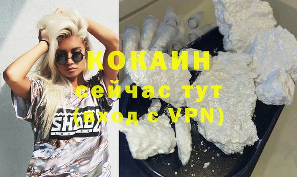 сатива Абинск