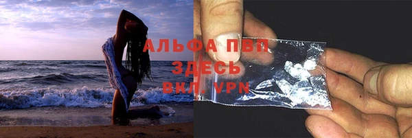 прущие грибы Алзамай