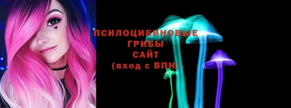 apvp Алексин