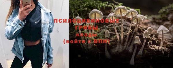 кристаллы Абаза