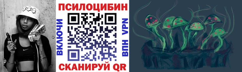 Галлюциногенные грибы Psilocybe  Скопин 