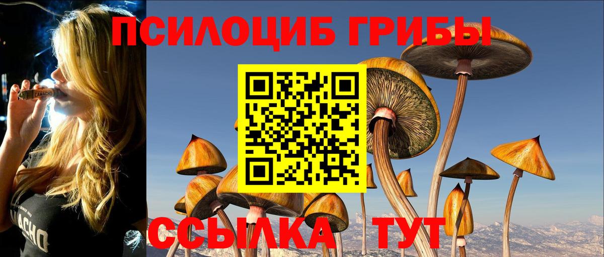 Галлюциногенные грибы мухоморы Скопин